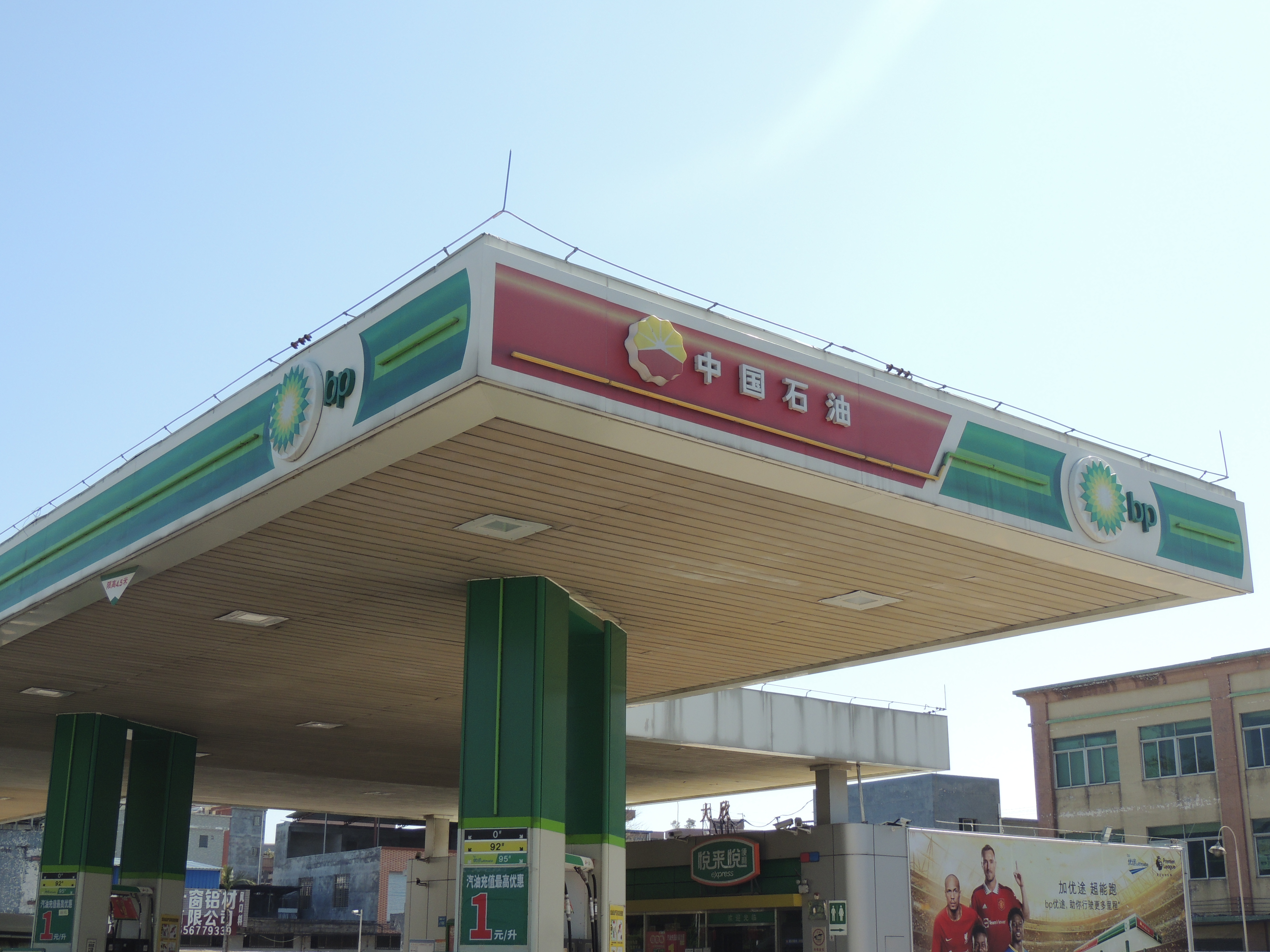 DSCN8148.JPG